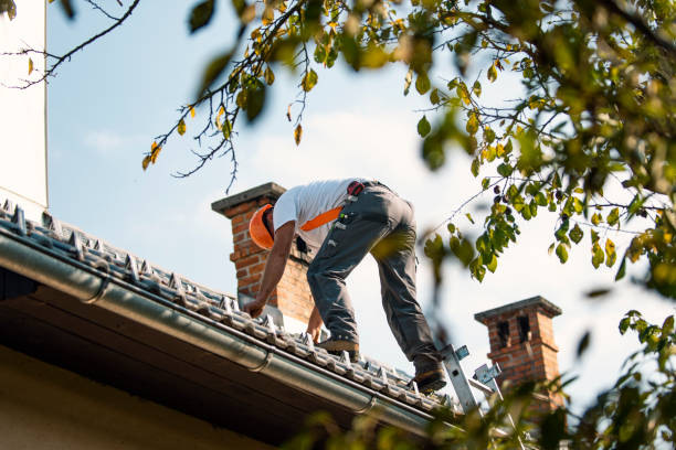 Best Flat Roof Repair Services  in Collinsville, TX