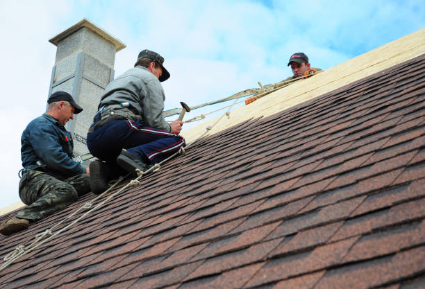 Best Residential Roofing Contractor  in Collinsville, TX